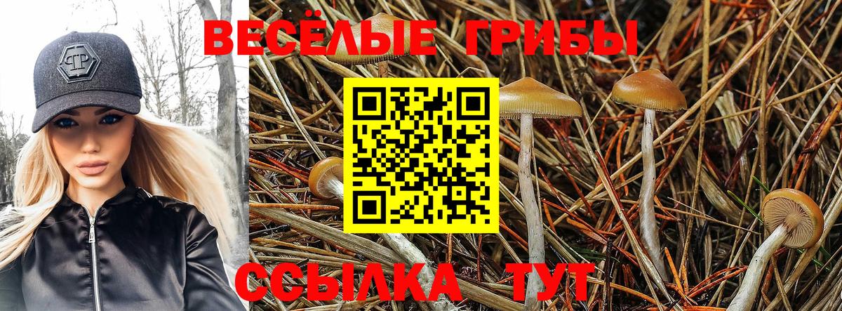 Галлюциногенные грибы мухоморы  Вход с VPN  Анапа 
