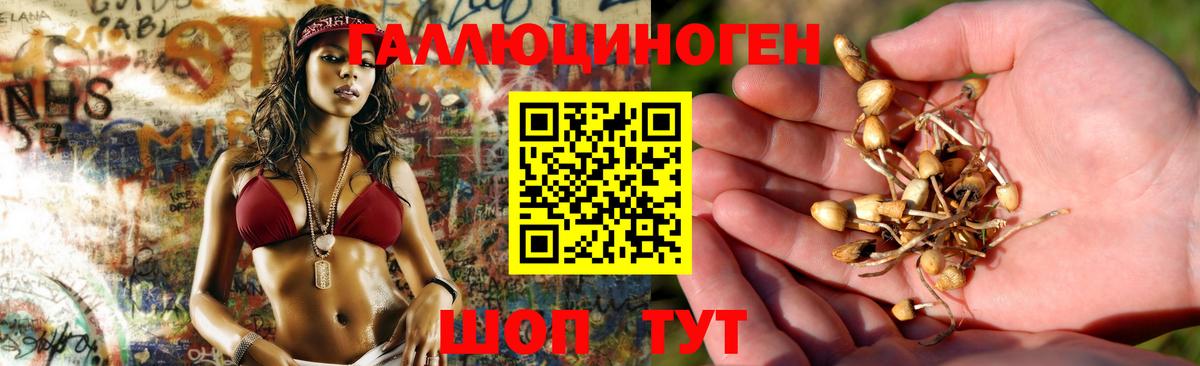 Псилоцибиновые грибы прущие грибы Анапа
